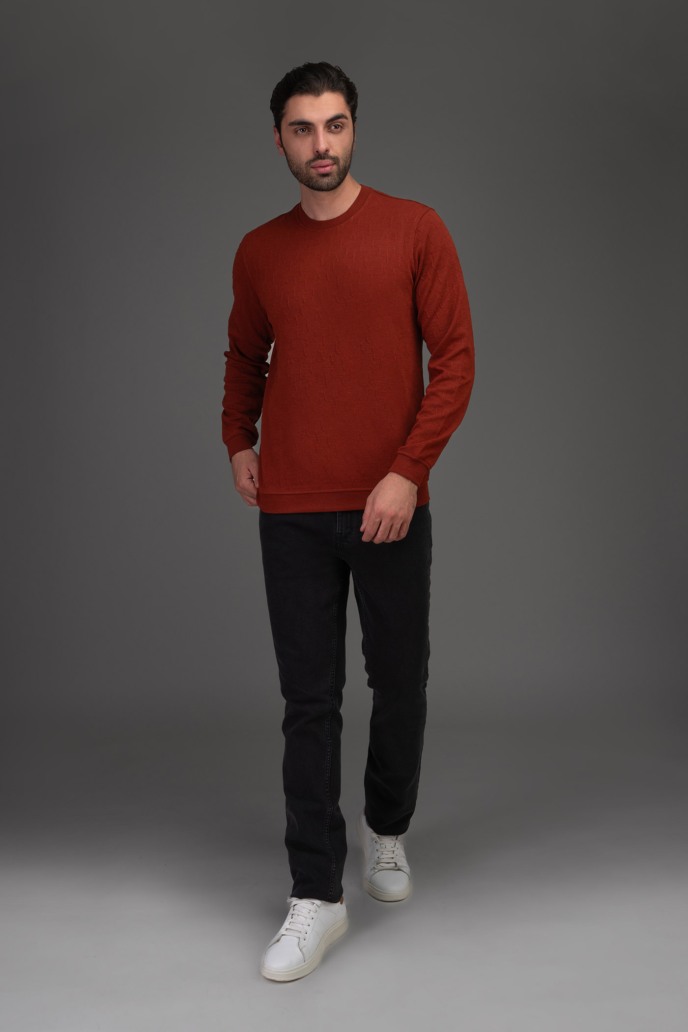 تی شرت آستین بلند 160151