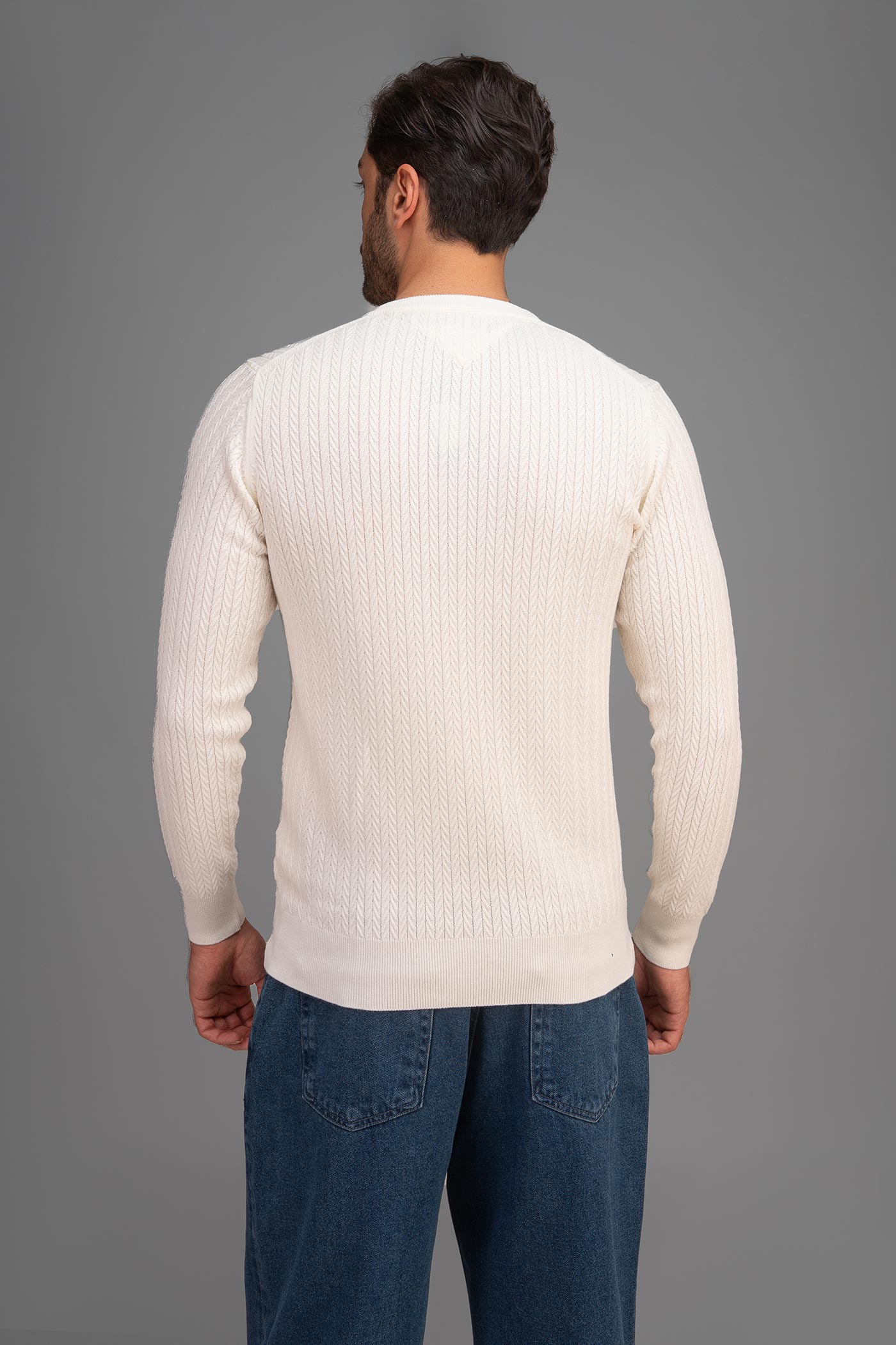 پلیور مردانه 300026